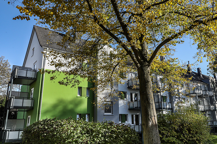 Grüne Bäume und Büsche um ein Mehrfamilienhaus.