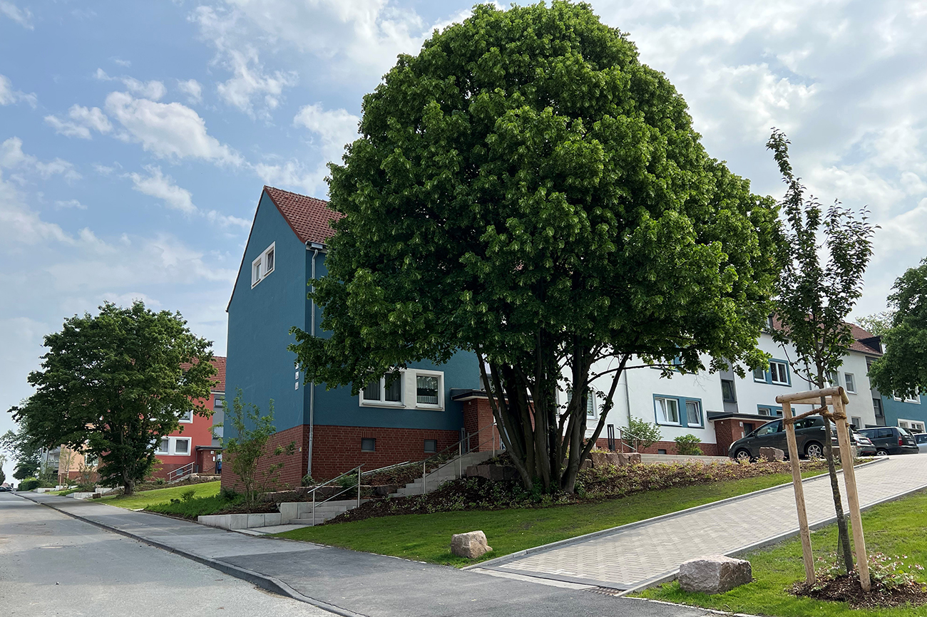 Ein großer Baum auf einem Streifen Wiese vor einem modernen Mehrfamilienhaus.