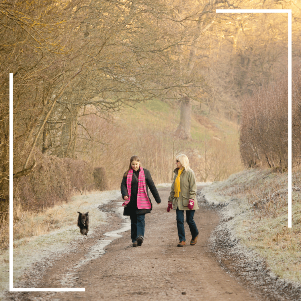 2 Frauen gehen mit einem Hund auf einem Waldweg spazieren