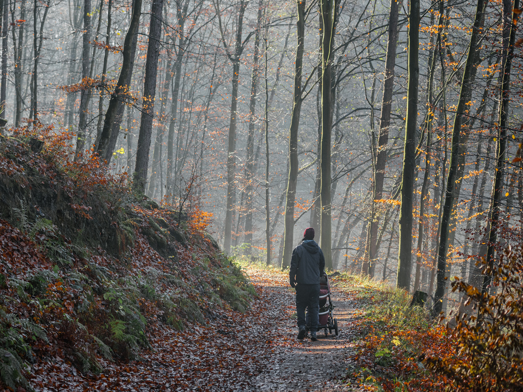 Eine Mama mit Kinderwagen von hinten auf einem breiten Waldweg. Die Sonne schient zweischen den winterlichen Bäumen durch.