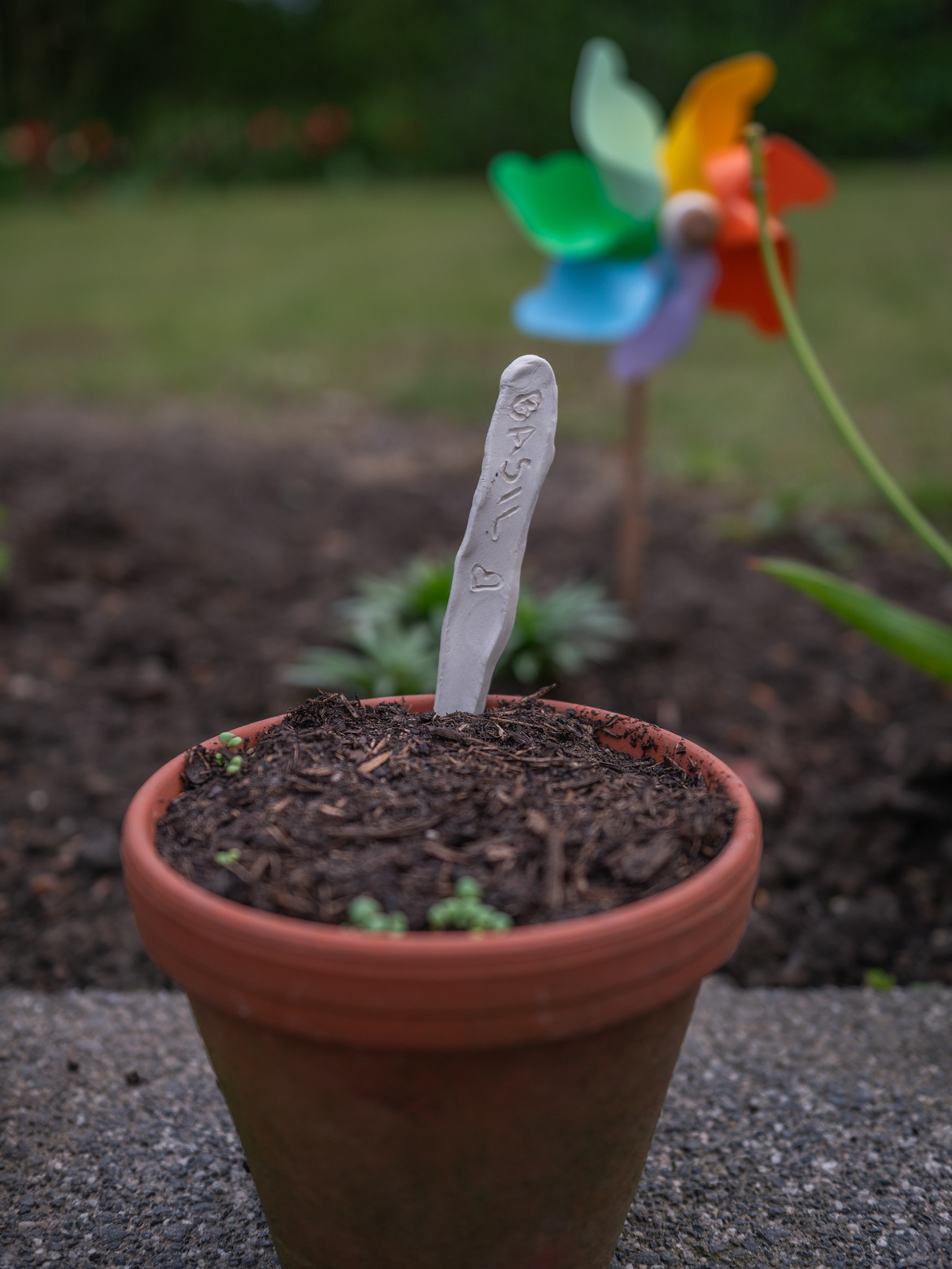 Ein Kräuterstecker in einem Blumentopf