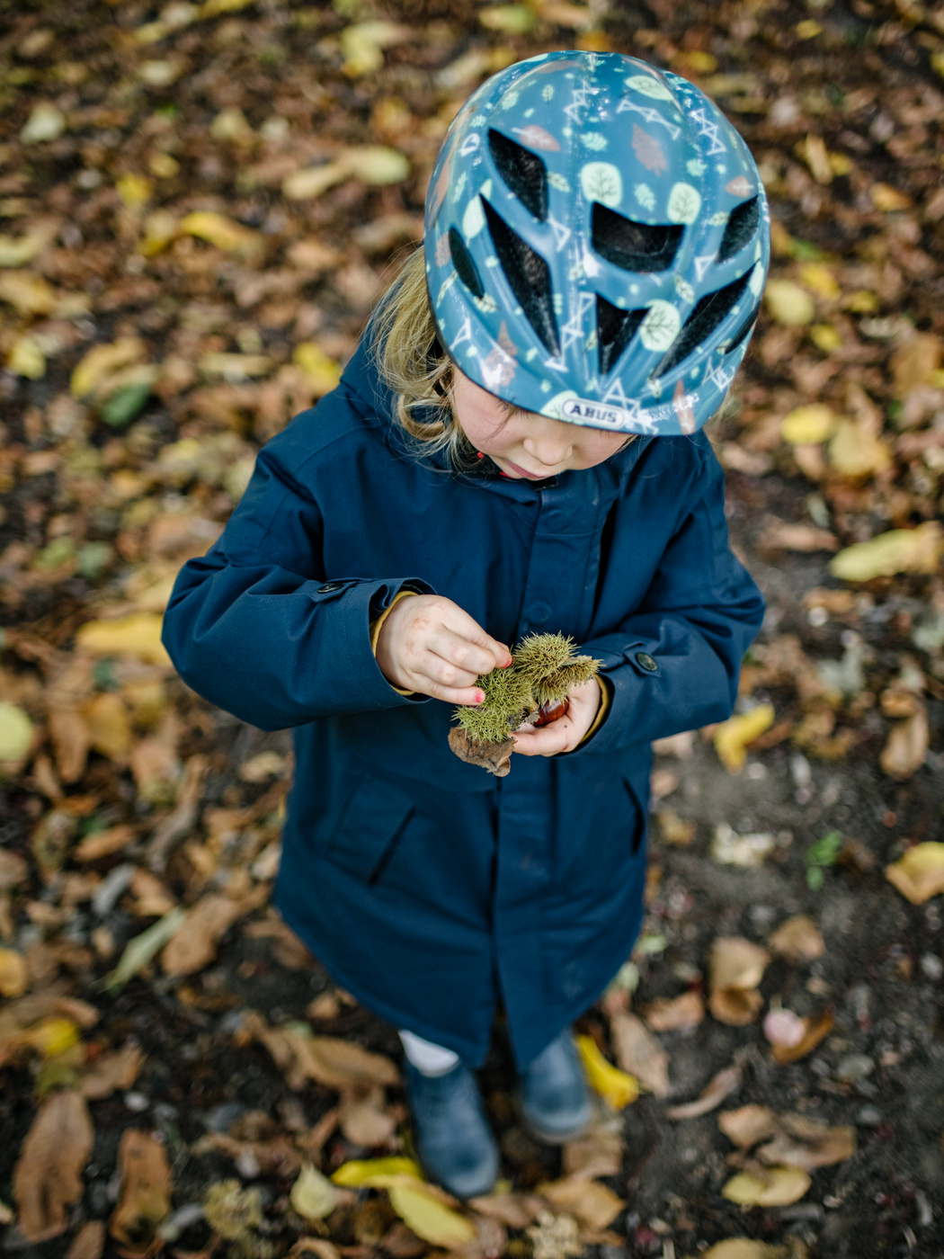Ein kleines Kind mit Fahrradhelm und einer Kastanie in der Hand