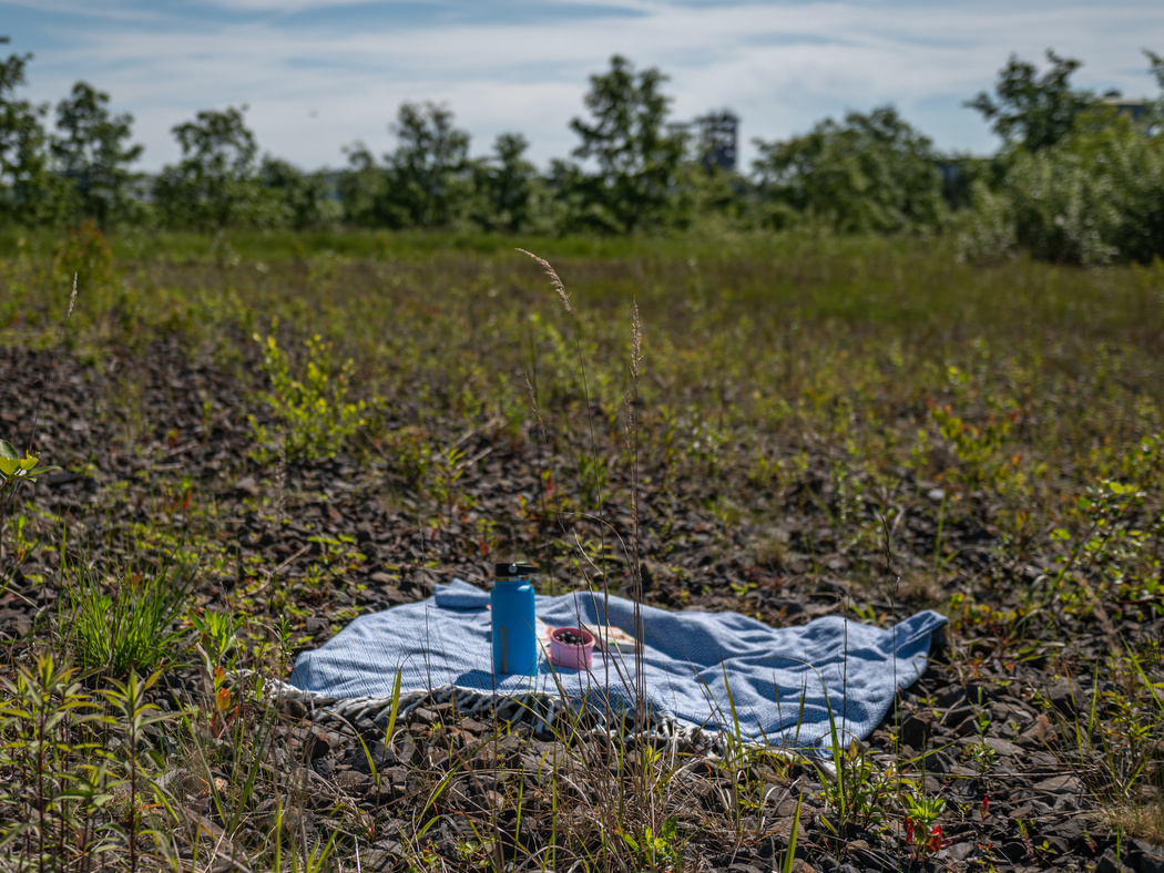 Eine Picknick-Decke auf einer großen Wiese