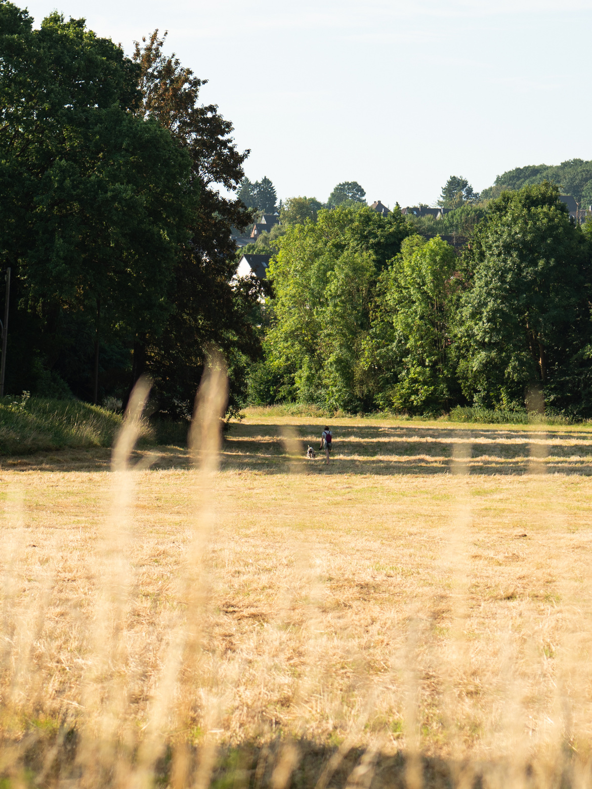 Blick auf ein Feld 
