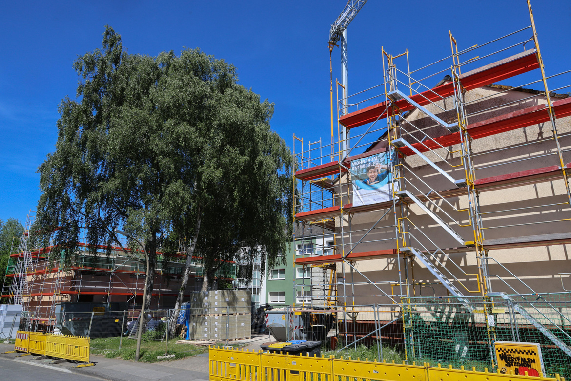 Ein Haus mit Baugerüst und ein grüner Baum im Vordergrund.