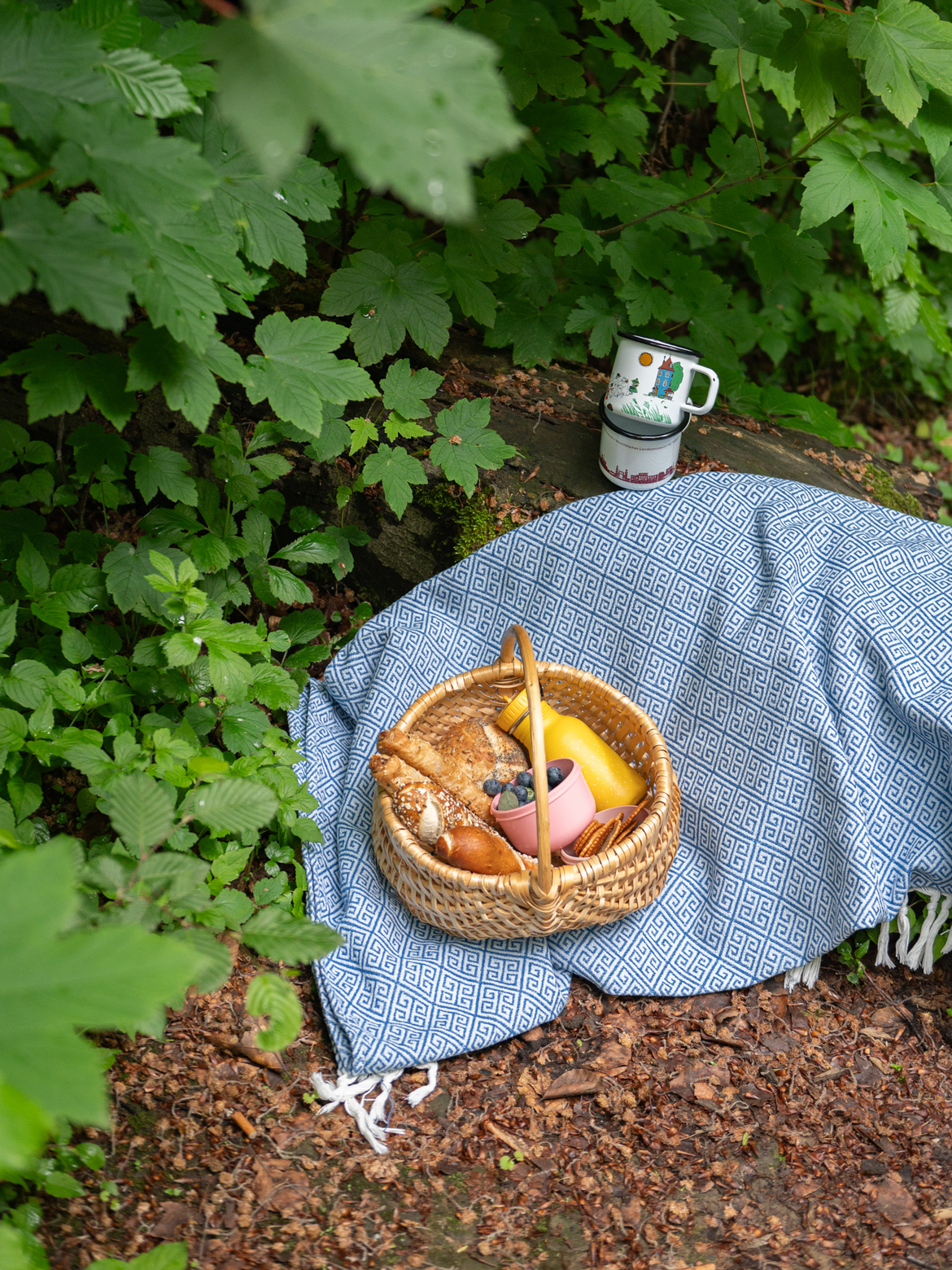 Ein gefüllter Picknickkorb im Wald