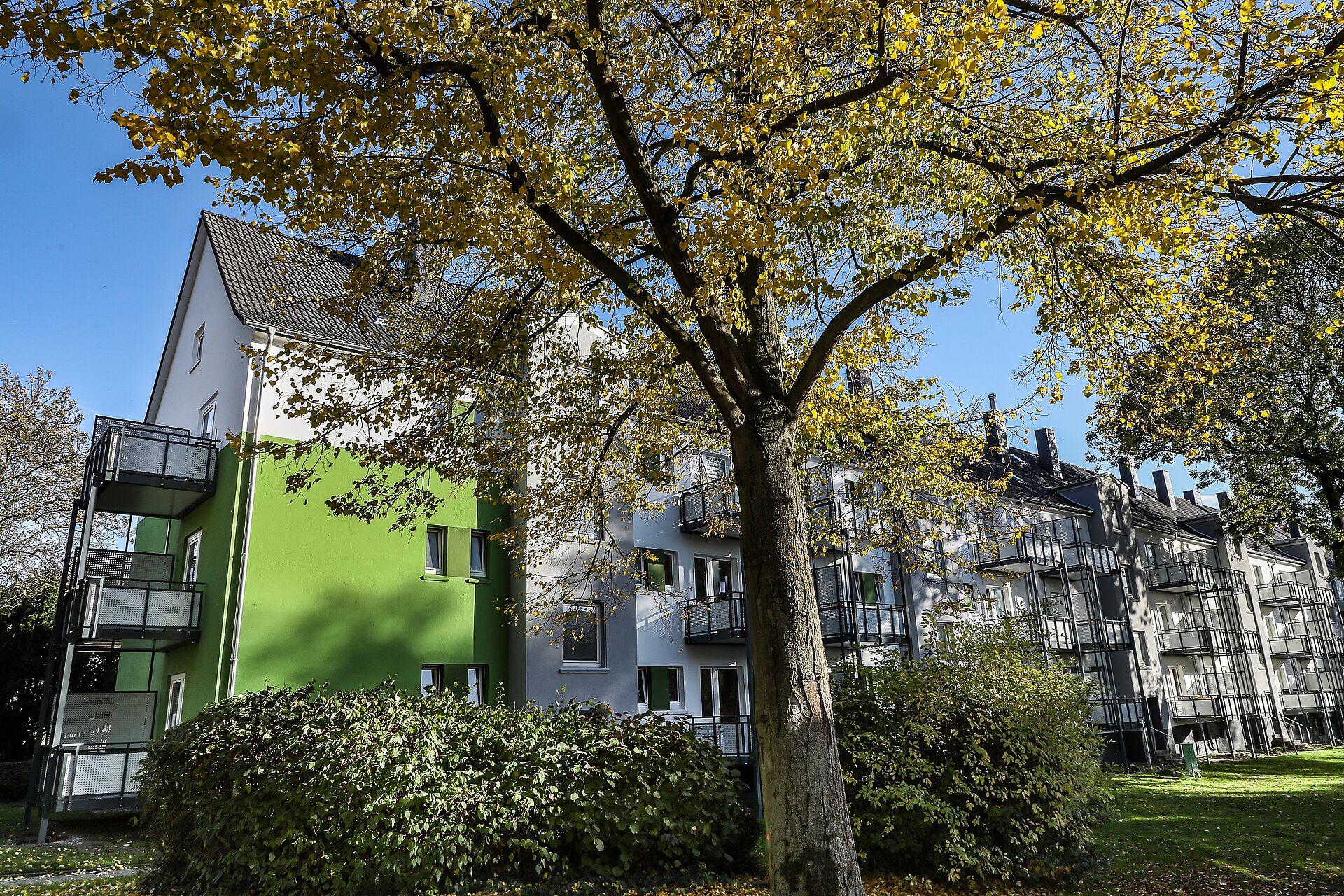 Mehrfamilienhaus in grün und weiß nach Instandhaltung inmitten von grünen Bäumen