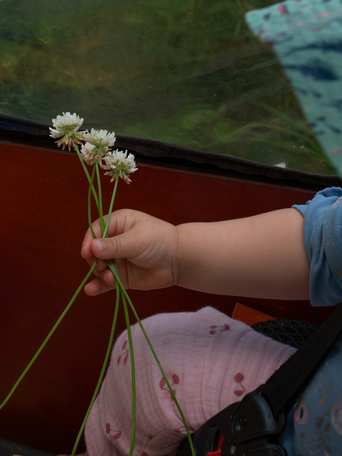 Ein Kleinkind mit gepflückten Blumen in der Hand.