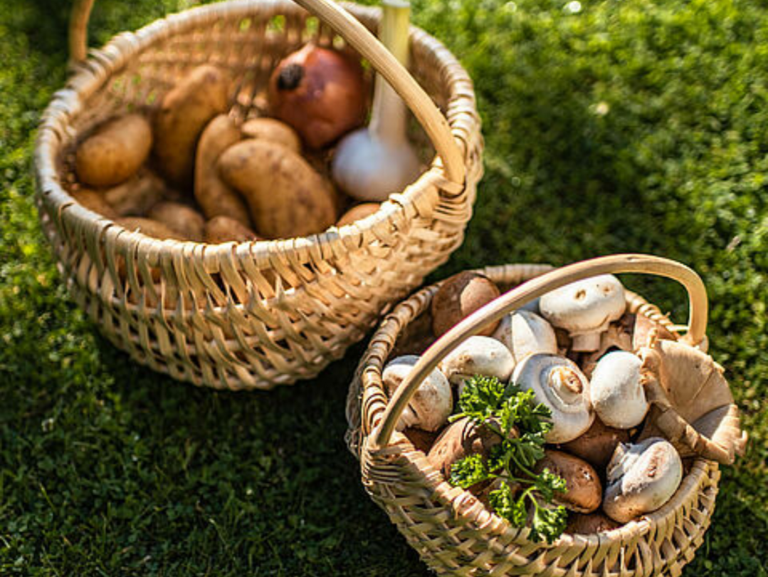 Wareniki mit Kartoffel- und Pilz-Füllung