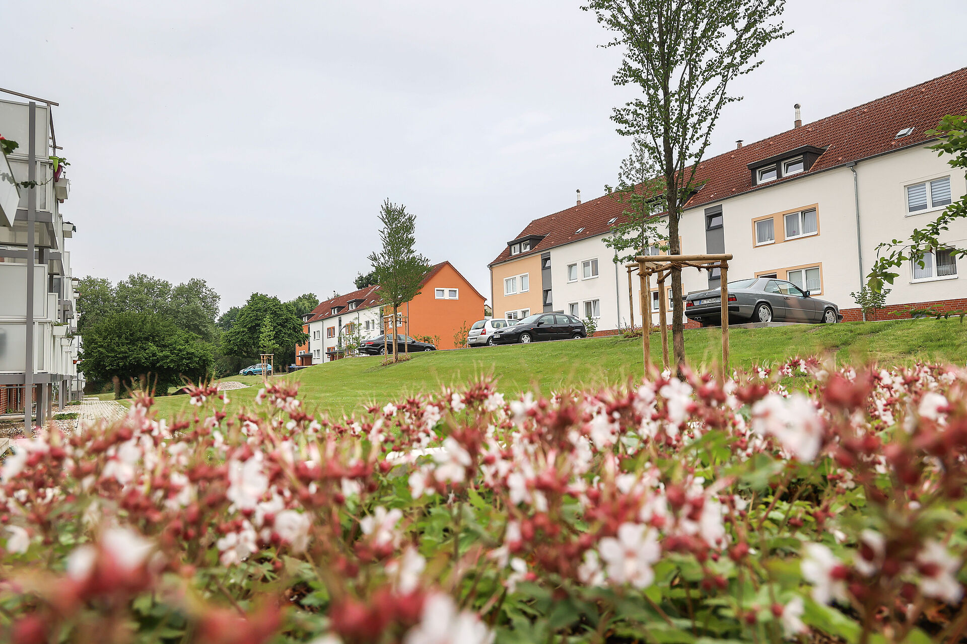 Modernisierte Mehrfamilienhäuser mit großen Grünflächen und bienenfreundlichen Blumenbeeten