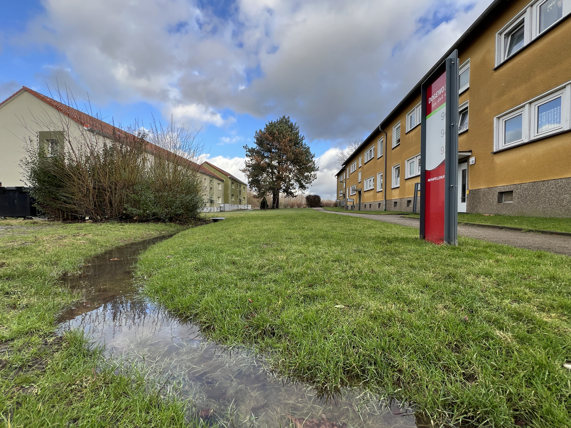 Kleiner Bachlauf vor einer Siedlung der DOGEWO21