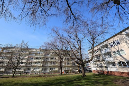 Eingerüstete Mehrfamilienhäuser mit Wiesenfläche und Bäumen davor.