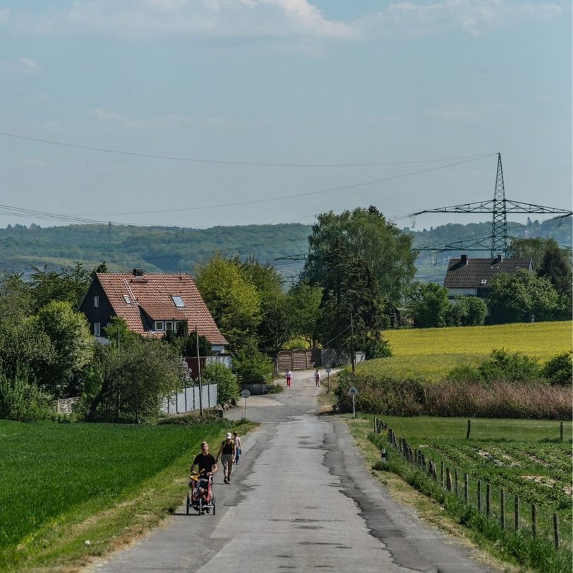 3 Fahrradfahrer fahren über einen Feldweg