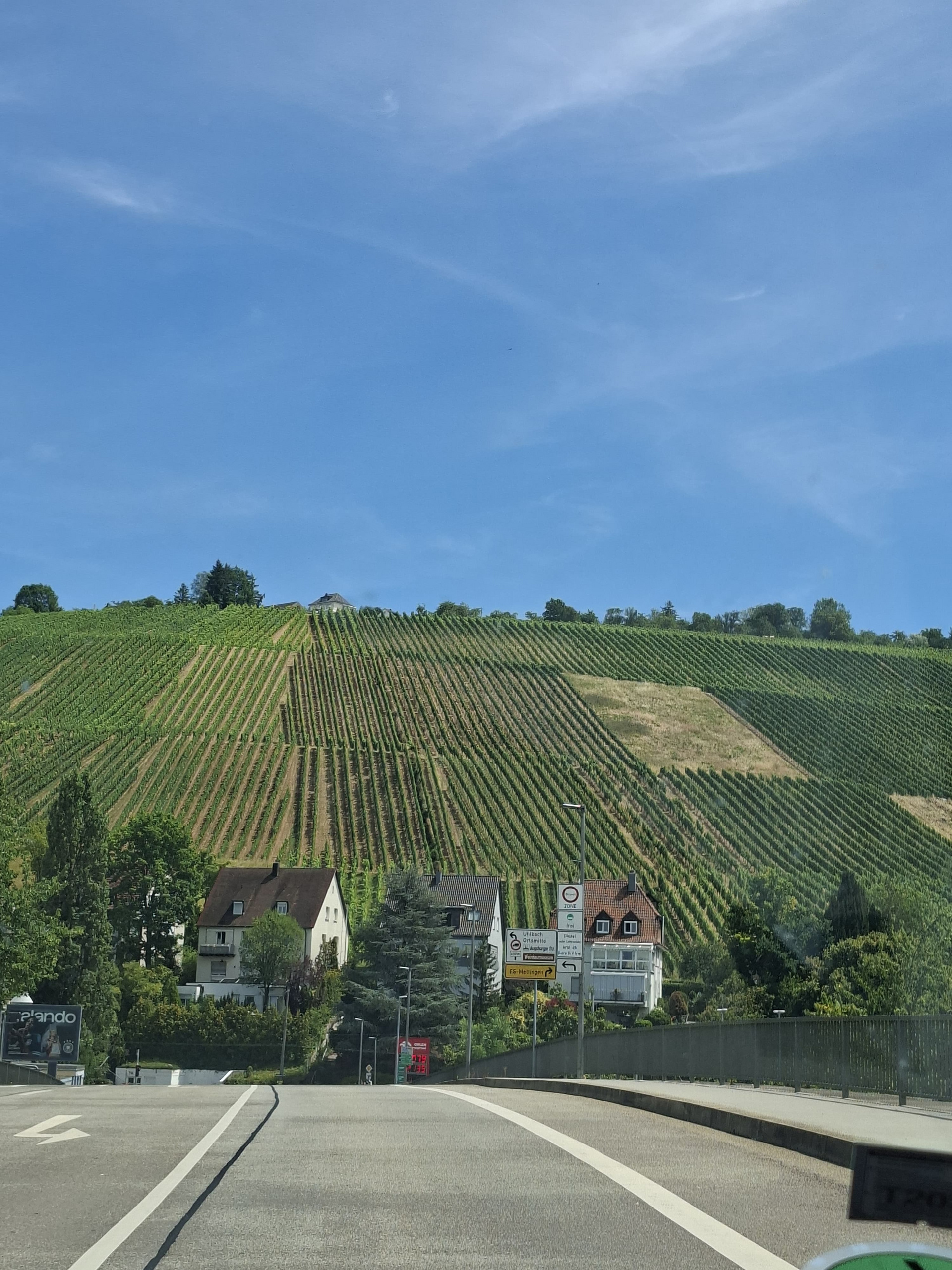 Blick auf Felder 