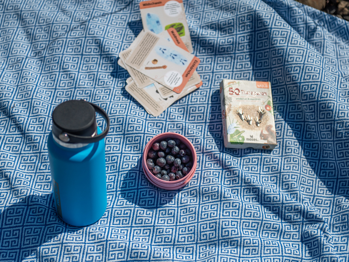 Nahaufnahme einer Picknick-Decke mit Büchern, Blauneeren und einer Trinkflasche.