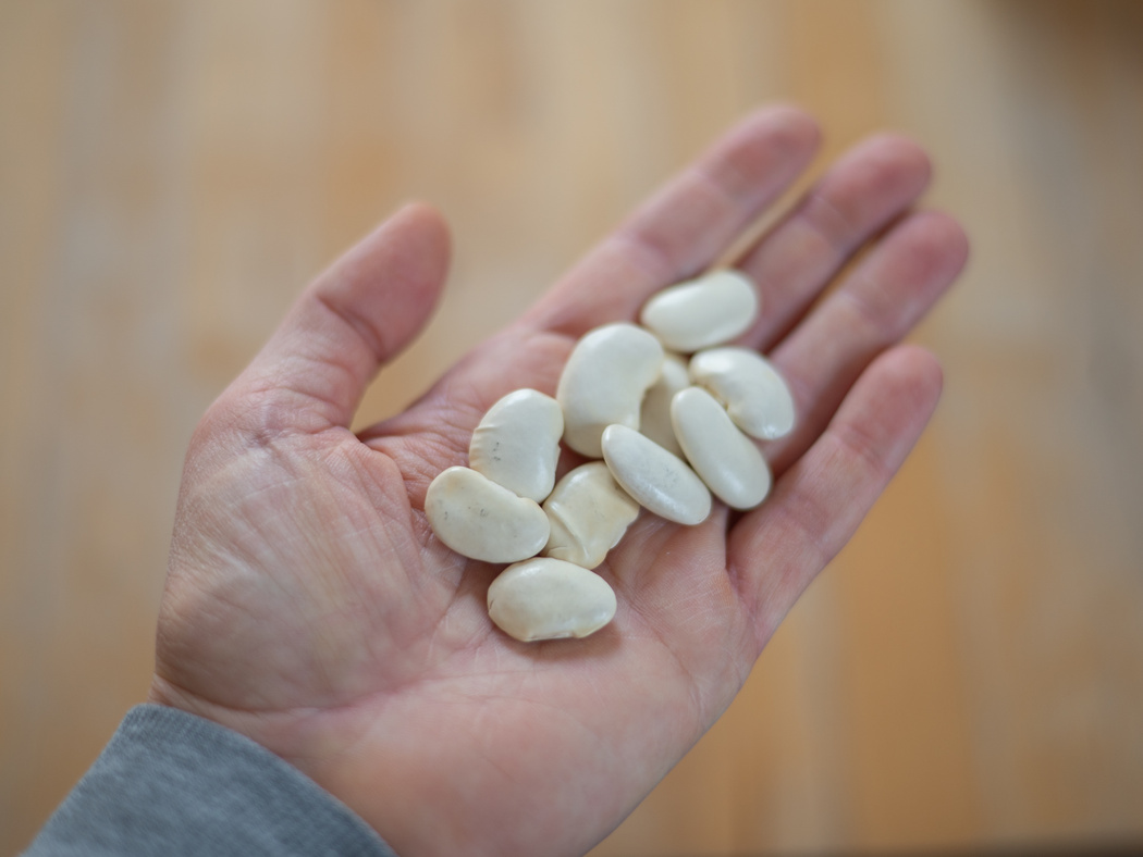 Eine Hand mit weißen Bohnen