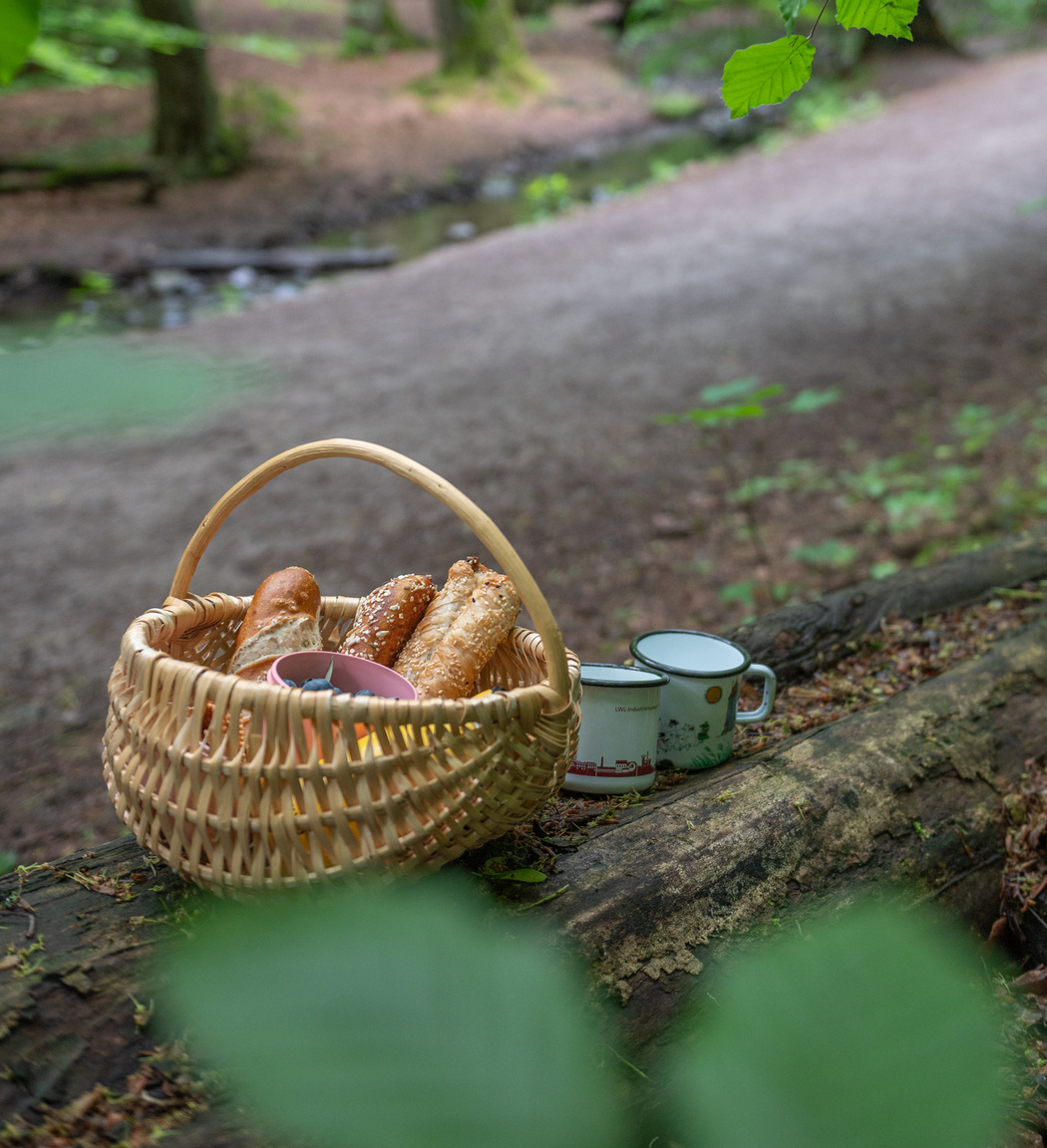 Ein gefüllter Picknick-Korb im Wald auf einem Baumstamm