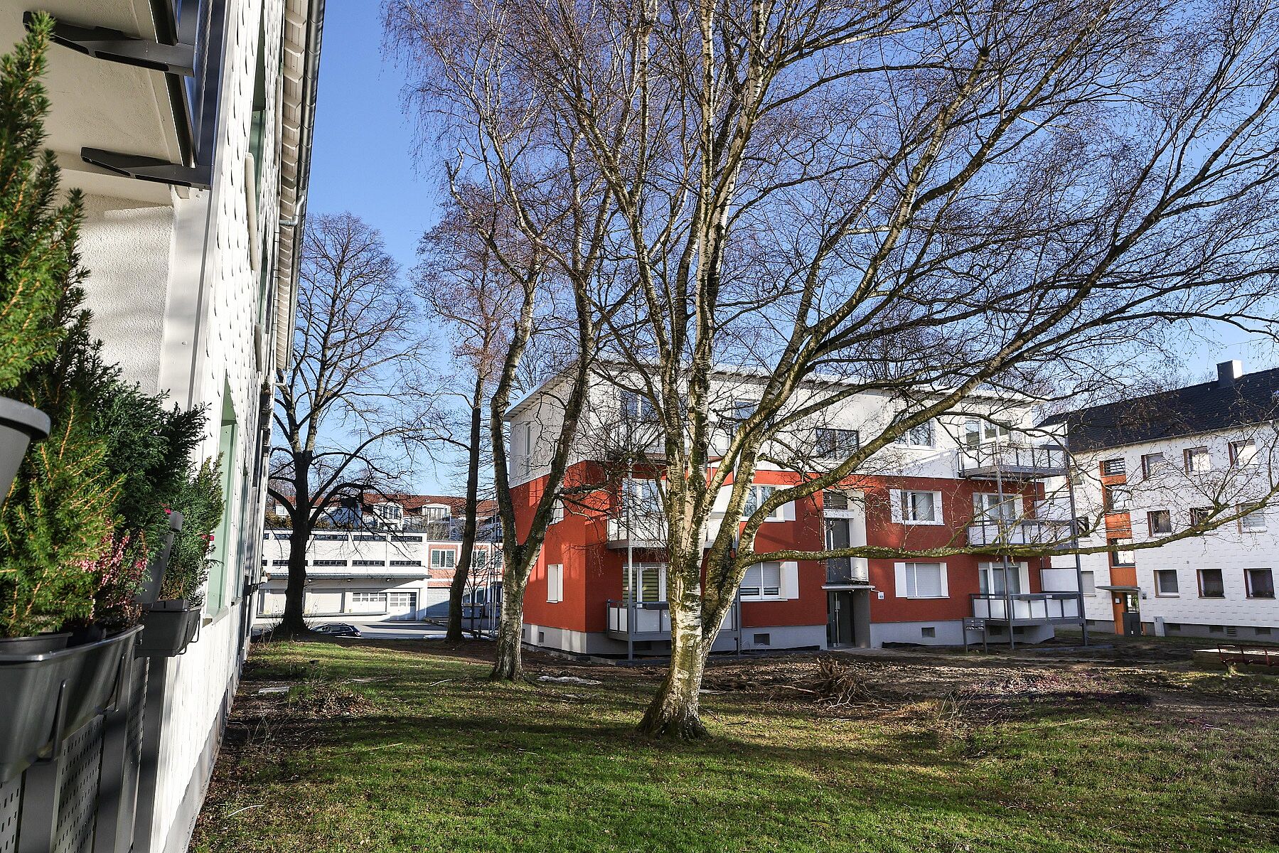 Frisch sanierte Mehrfamilienhäuser, z. T. mit neu aufgestockten Etagen inmitten von Grün und winterlichem Geäst.