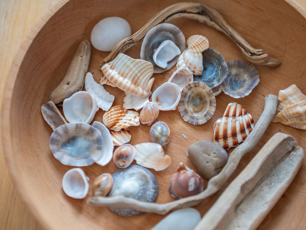 Holzschale mit Muscheln und Stöcken
