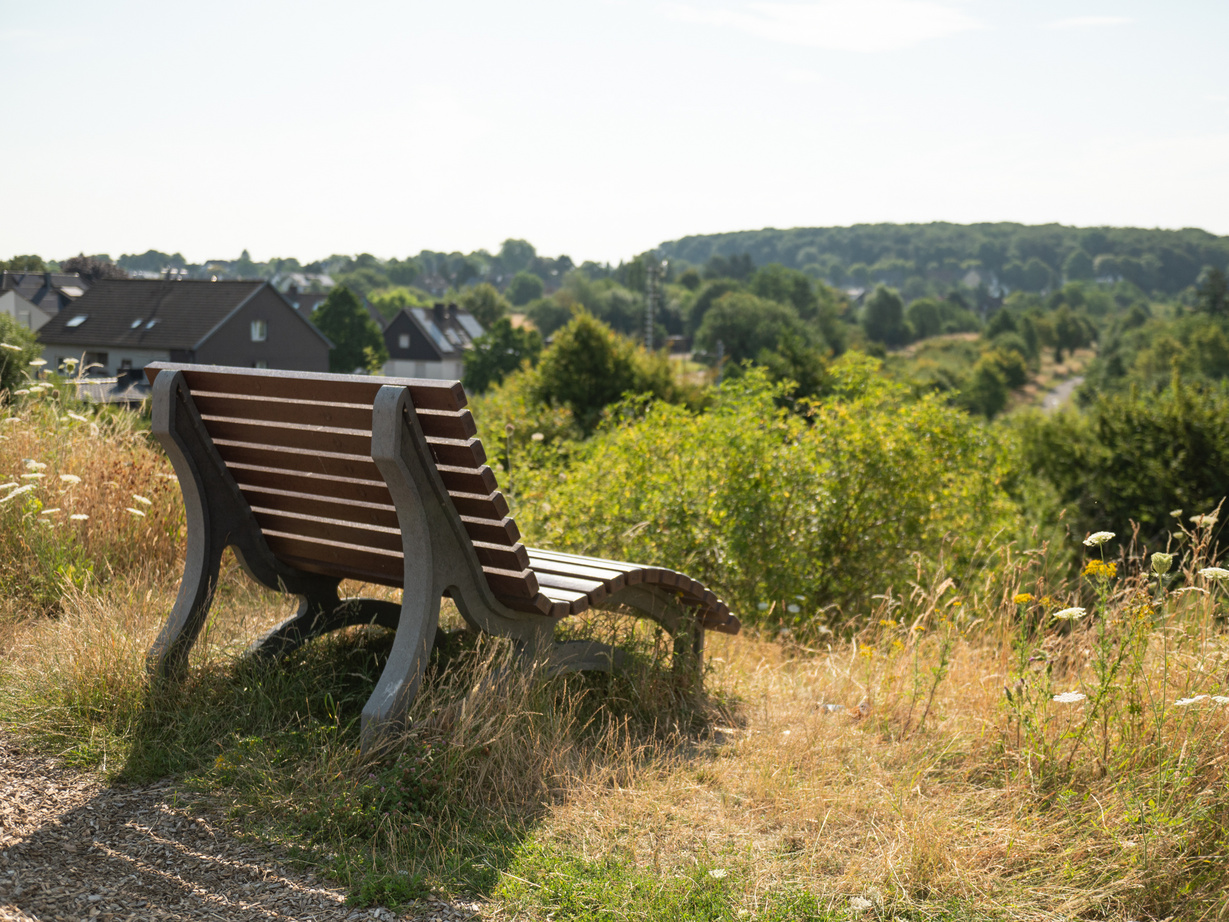 Blick ins Grüne und eine Holzbank auf einer Wiese.