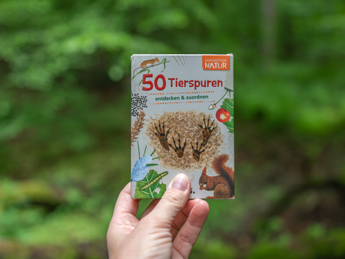 Ein Buch: 50 Tierspuren entdecken