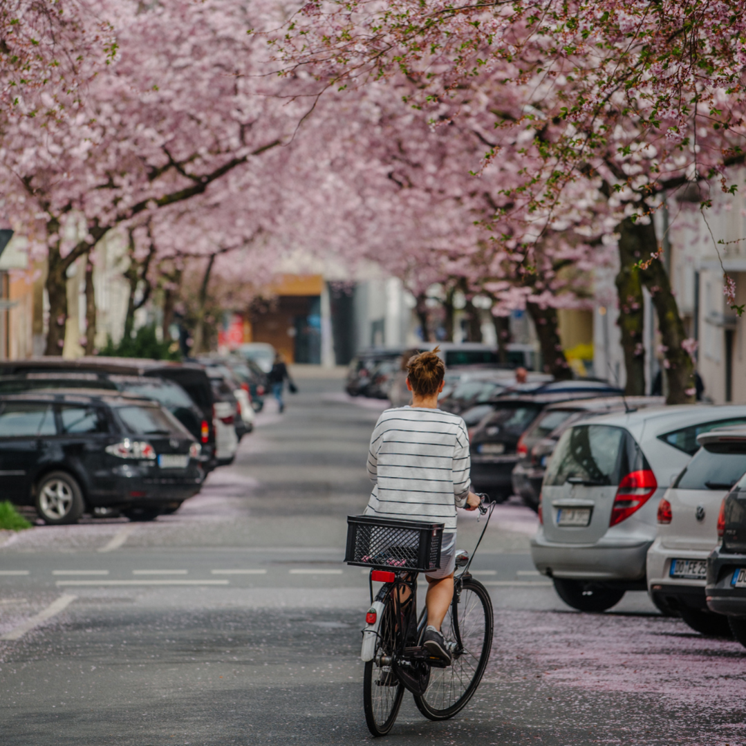 5 Orte, an denen der Frühling in Dortmund mit am schönsten ist
