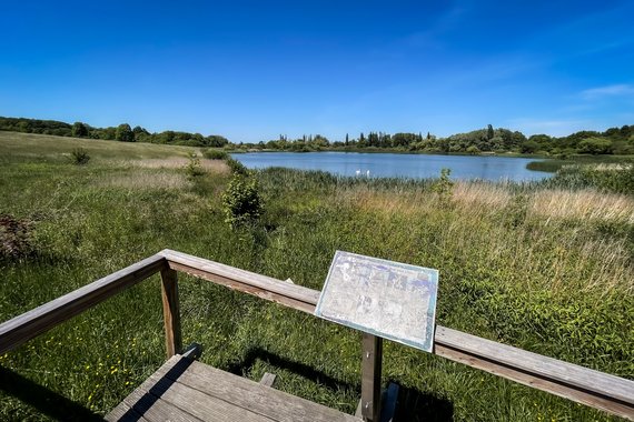 Aussichtsplattform auf Wiesen und einem See