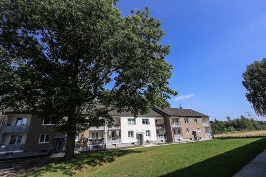 Renovierte Häuserreihe davor steht ein Baum
