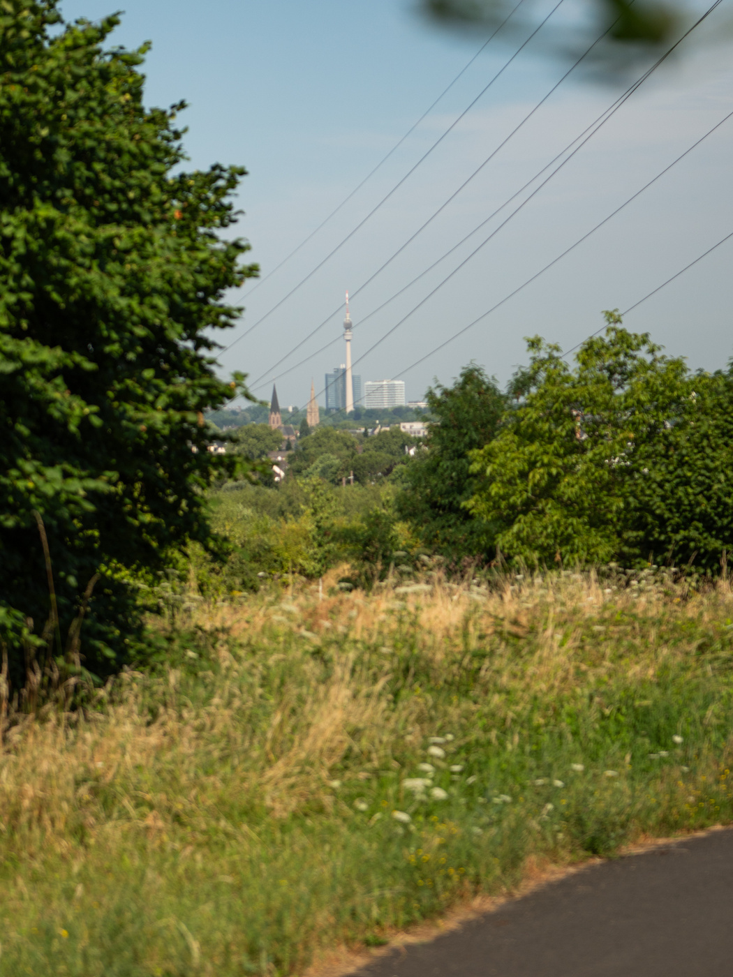 Blick auf den Fernsehturm und den Phoenix-See in Dortmun