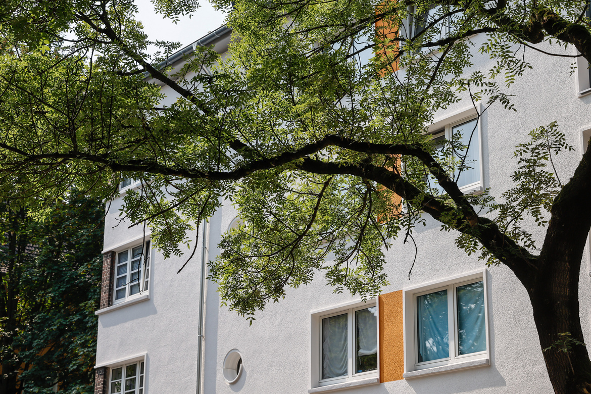 Weißes Gebäude mit Bäumen im Vordergrund