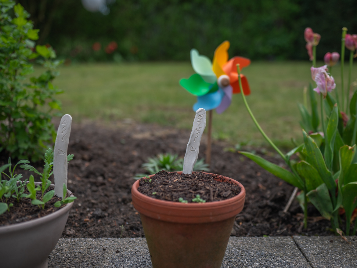 Kräuterstecker in Blumentöpfen und eine Windmühle im Hintergrund
