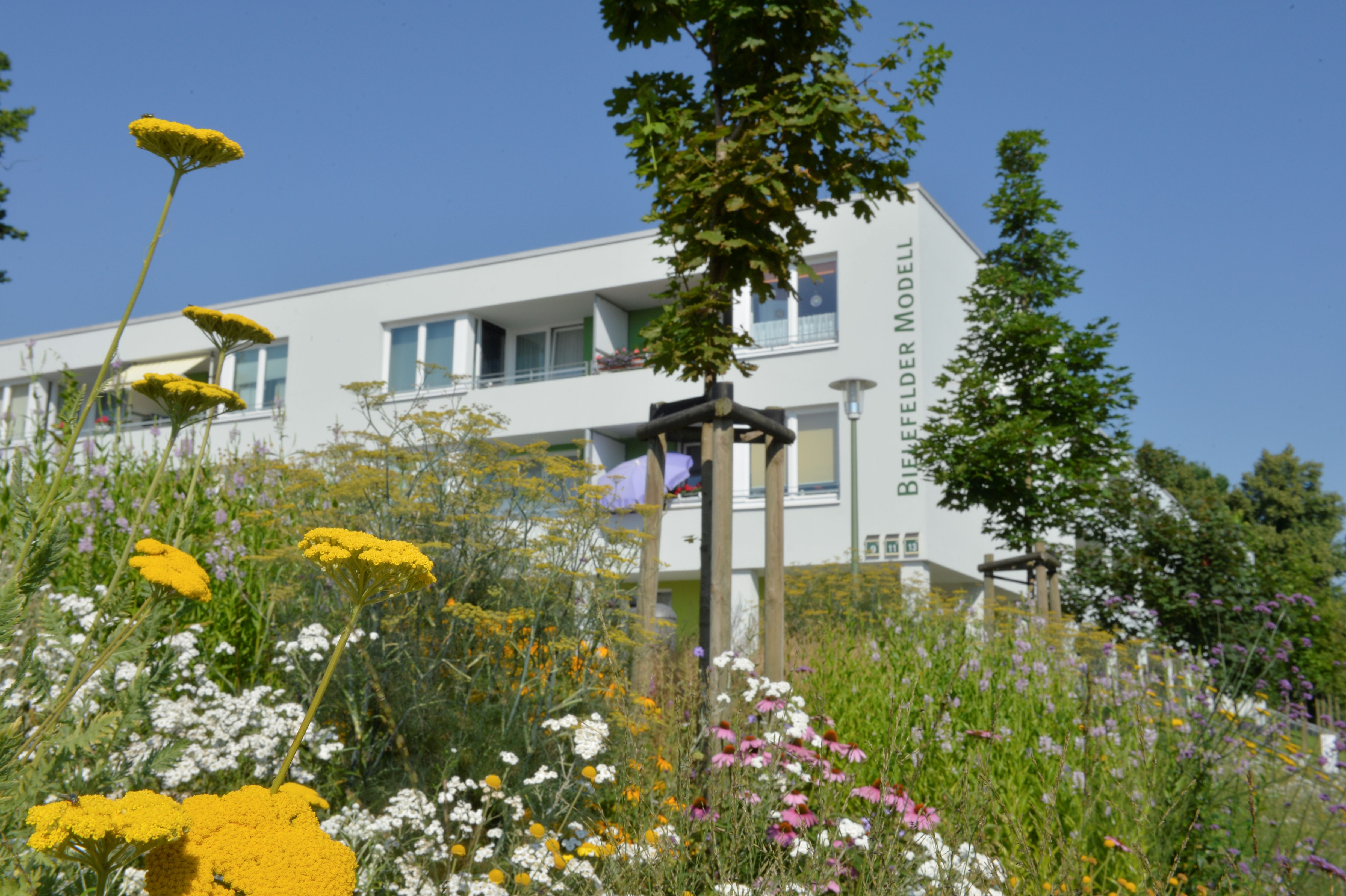 Wildblumenwiese mit einem Mehrfamilienhaus im Hintergrund
